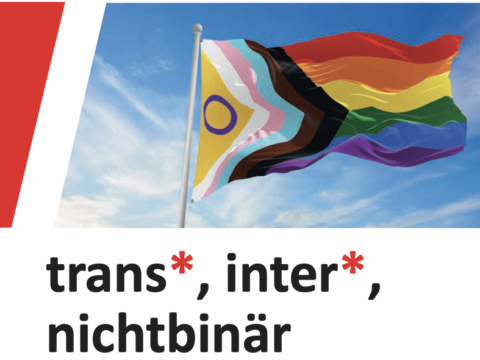 Mini-Broschüre „Queerpolitik“